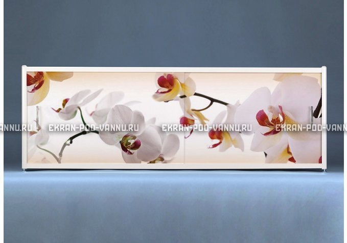 Раздвижной ФОТО экран - Orchid – купить по цене 8500 руб. в интернет-магазине в городе Ставрополь картинка 1