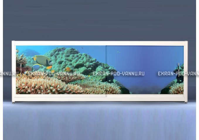 Экран на роликах EUROPLEX Коралловые рифы – купить по цене 12400 руб. в интернет-магазине в городе Ставрополь картинка 1